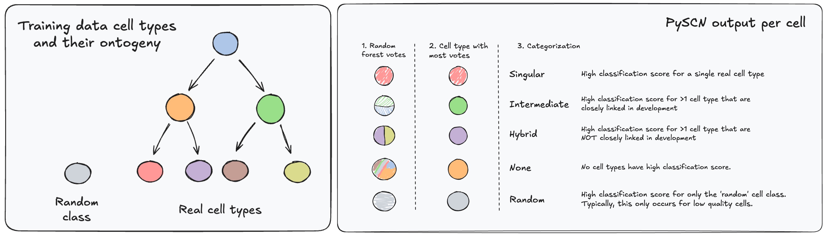 Categorization